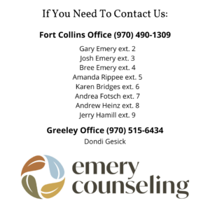 Emery Counseling Teletherapy Fort Collins Anxiety