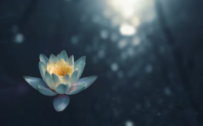 Mindfulness Practice: Meditation – Loving Kindness to Oneself