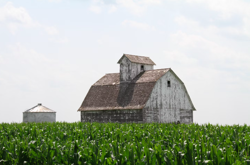 The Markings of Your Hometown | Chris Roland | Individual Counseling