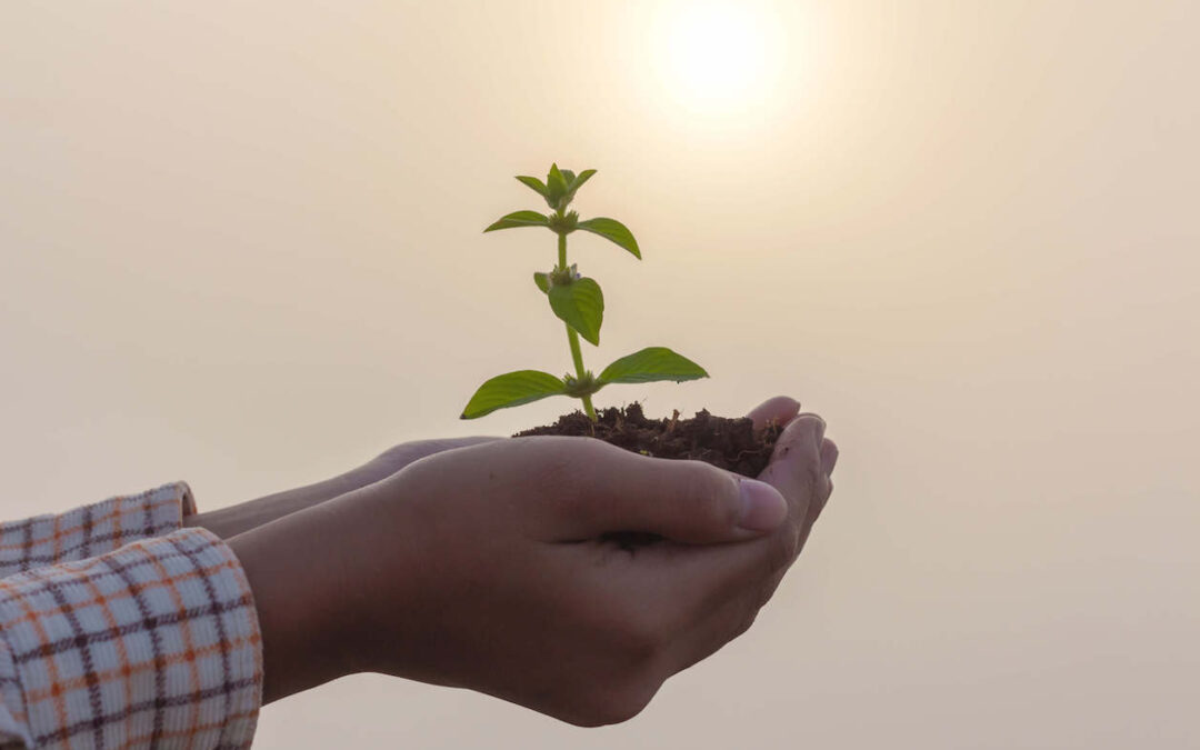 Safety, Stability, and Security: The Foundation of Secure Attachment